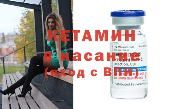 амф Ельня