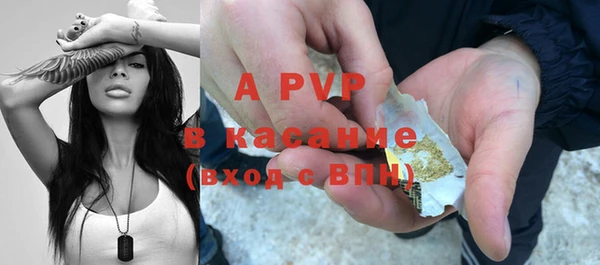 амф Ельня