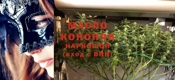 амф Ельня