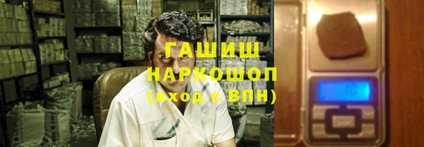 амф Ельня