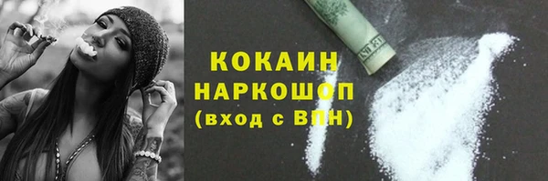 амф Ельня