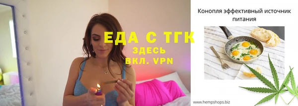 амф Ельня