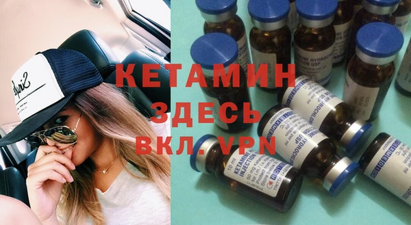 амф Ельня