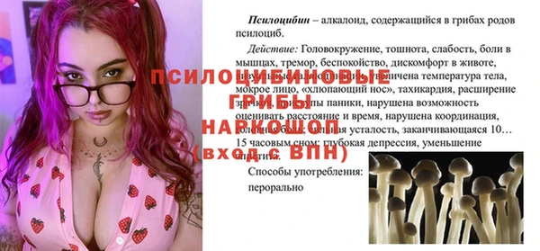 первитин Елабуга