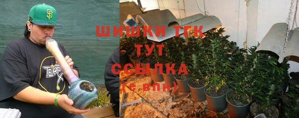 амф Ельня