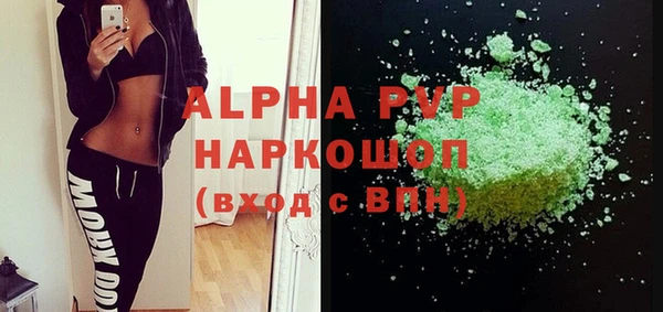 амф Ельня