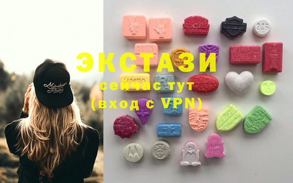 амф Ельня