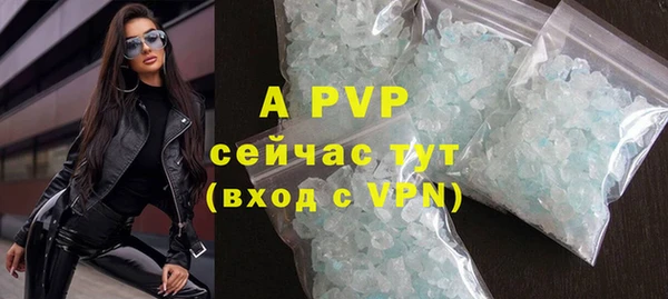 амф Ельня