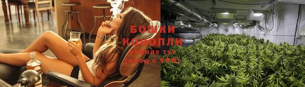 амф Ельня