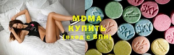 амф Ельня