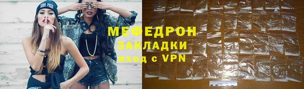амф Ельня