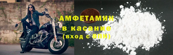 амф Ельня