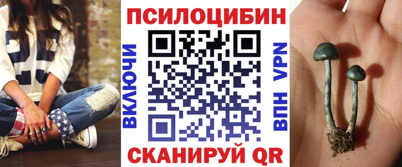 Псилоцибиновые грибы Cubensis  Купить  Кимры 